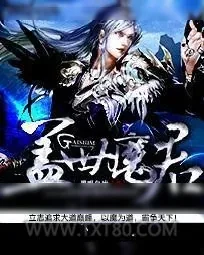 《盖世魔君》小说封面