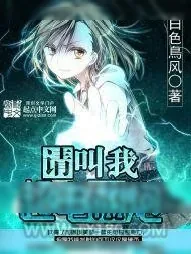 《请叫我超电磁炮》小说封面