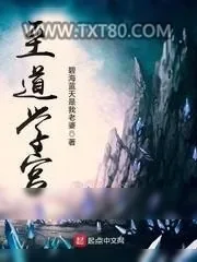 《诸道学宫》小说封面