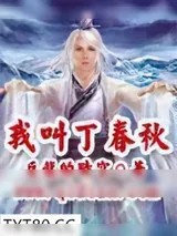 《天龙八部》小说封面