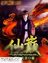 《仙巅》小说封面
