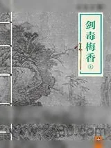 《剑毒梅香》小说封面