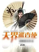 《天界巡查使》小说封面