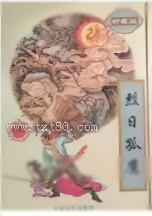 《烈日孤鹰》小说封面