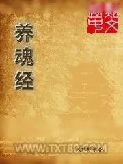 《养魂经》小说封面