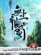《无上仙国》小说封面