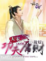 《大宋功夫庸财》小说封面