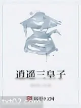 《逍遥三皇子》小说封面
