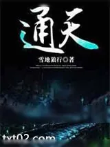 《通天》小说封面