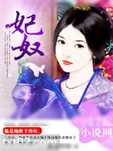 《妃奴》小说封面
