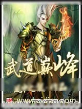 《武道巅峰》小说封面