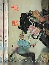 《极限》小说封面