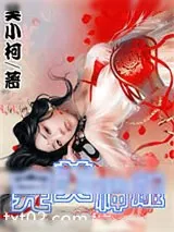 《完美神雕》小说封面