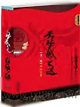 《云梦城之谜》小说封面