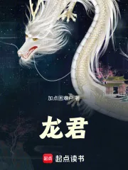 《龙君！》小说封面