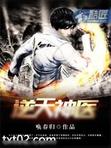 《逆天秘籍》小说封面