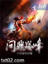 《问鼎巅峰》小说封面