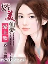 《娇美仙妻爱上我》小说封面