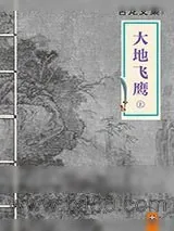 《大地飞鹰》小说封面
