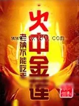 《火中金莲》小说封面