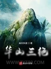《华山三绝》小说封面