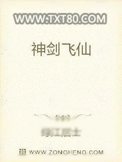 《神剑飞仙》小说封面
