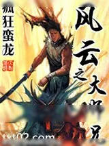 《风云》小说封面
