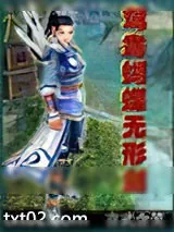 《鸳鸯蝴蝶无形剑》小说封面