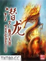 《潜龙》小说封面