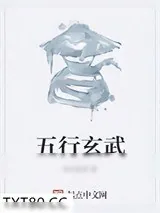 《五行玄武》小说封面
