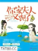 《报告上仙:你家夫人又跑了》小说封面