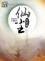 《仙尘》小说封面
