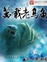 《万载老乌龟》小说封面
