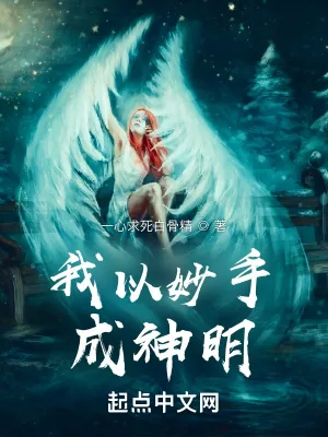 《我以偷窃成神明》小说封面