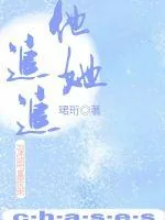 《他追她追》小说封面