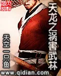 《天龙之祸害武林》小说封面