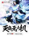 《天庭无人机》小说封面