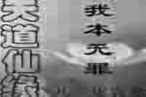 《天道仙缘之我本无罪》小说封面