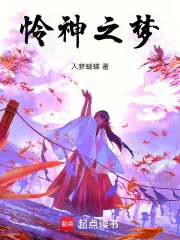 《怜神之梦》小说封面