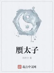 《赝太子》小说封面