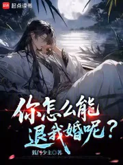 《你怎么能退我婚呢?》小说封面