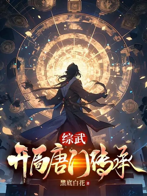 《综武:开局唐门传承》小说封面