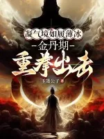 《凝气境如履薄冰,金丹期重拳出击》小说封面