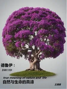 《德鲁伊:自然与生命的真谛》小说封面