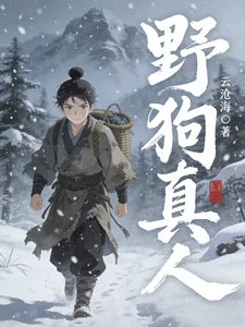 《野狗真人》小说封面