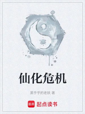 《仙化危机》小说封面