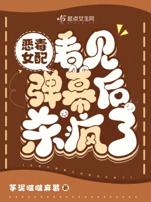 《恶毒女配看见弹幕后杀疯了》小说封面