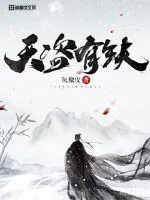 《天盗有缺》小说封面