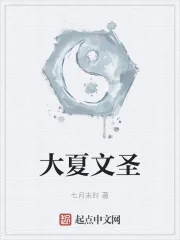 《大夏文圣》小说封面