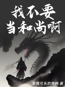 《我不要当和尚啊》小说封面